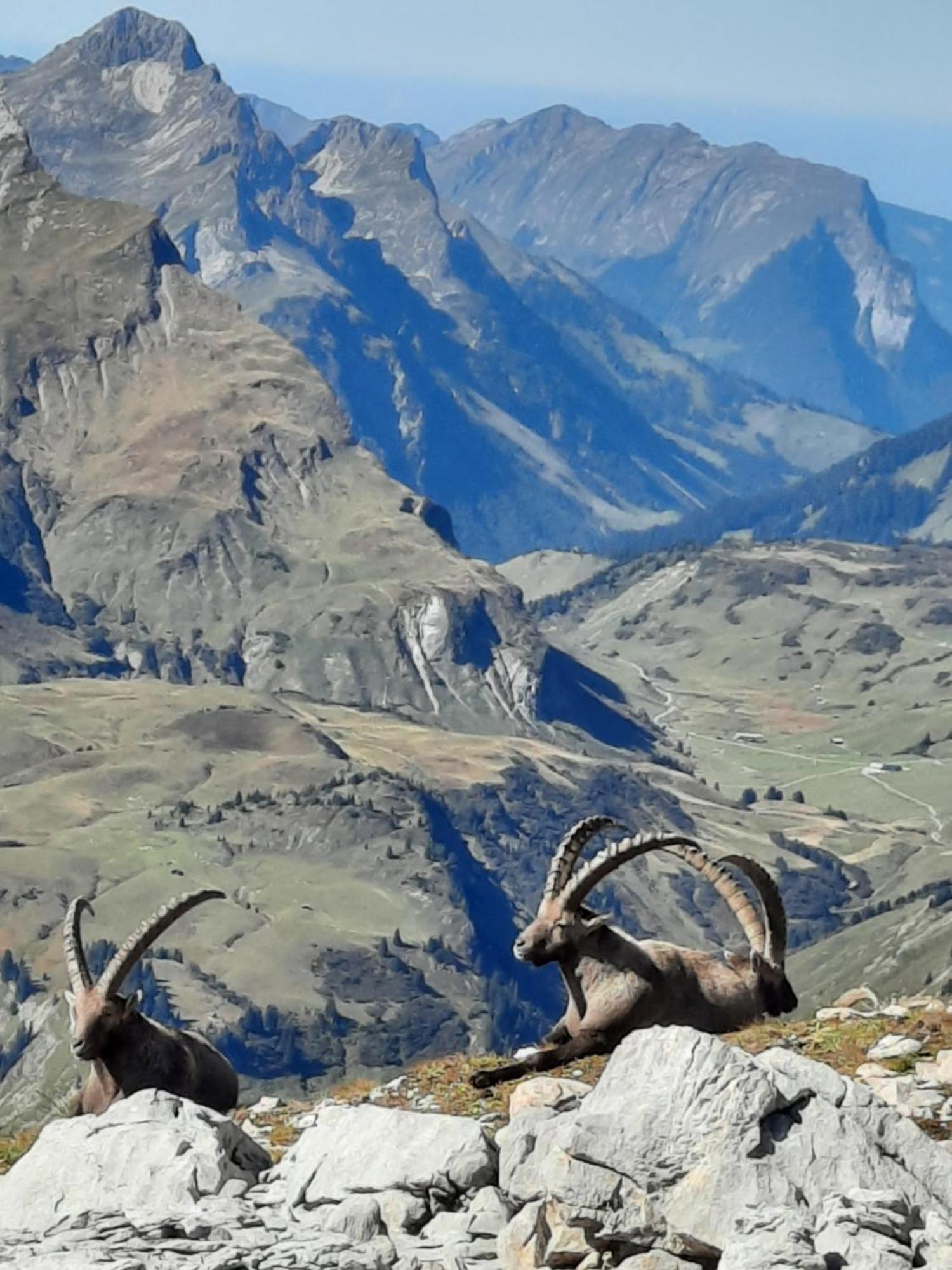 Haus Schroefler Διαμέρισμα Lech am Arlberg Εξωτερικό φωτογραφία
